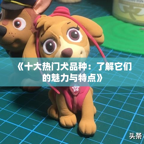 《十大熱門犬品種：了解它們的魅力與特點(diǎn)》