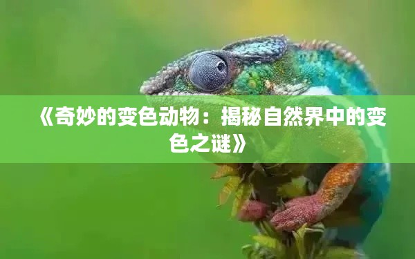 《奇妙的變色動物：揭秘自然界中的變色之謎》