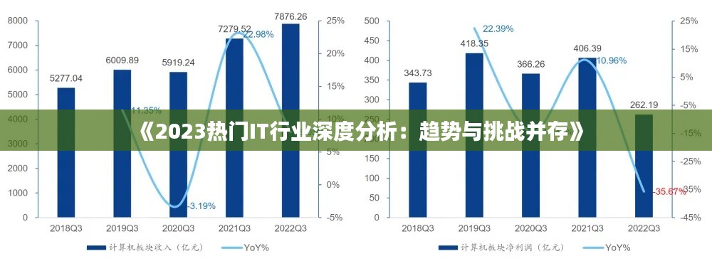 《2023熱門IT行業(yè)深度分析：趨勢與挑戰(zhàn)并存》