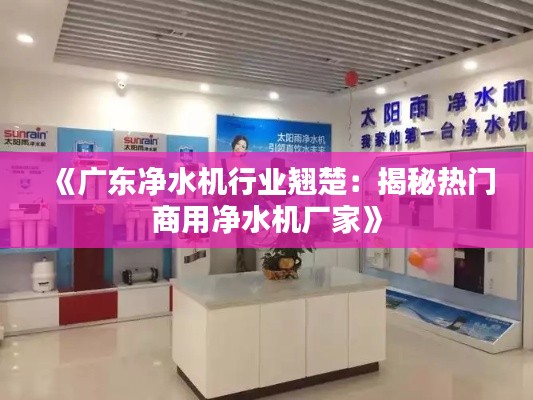 《廣東凈水機(jī)行業(yè)翹楚：揭秘?zé)衢T(mén)商用凈水機(jī)廠家》