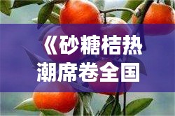 《砂糖桔熱潮席卷全國：探尋其魅力與市場(chǎng)前景》