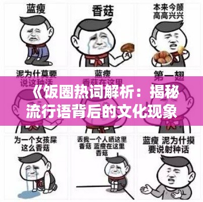 《飯圈熱詞解析：揭秘流行語背后的文化現(xiàn)象》