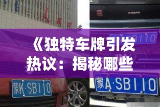 《獨(dú)特車牌引發(fā)熱議：揭秘哪些車牌能上熱門話題》