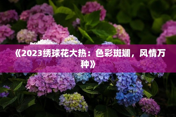 《2023繡球花大熱：色彩斑斕，風(fēng)情萬(wàn)種》