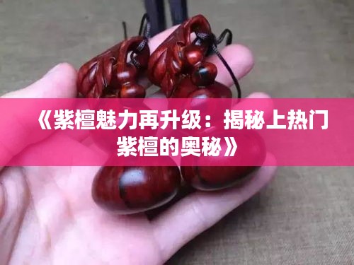 《紫檀魅力再升級：揭秘上熱門紫檀的奧秘》