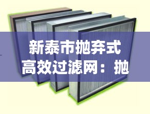 新泰市拋棄式高效過濾網(wǎng)：拋棄式高效過濾器 