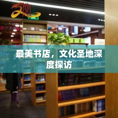 最美書店，文化圣地深度探訪