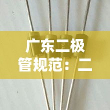 廣東二極管規(guī)范：二極管工廠 