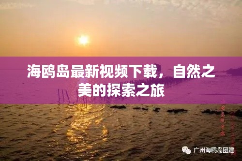 海鷗島最新視頻下載，自然之美的探索之旅