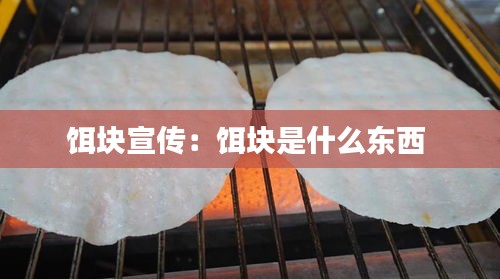 餌塊宣傳：餌塊是什么東西 