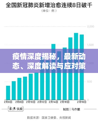 疫情深度揭秘，最新動態(tài)、深度解讀與應(yīng)對策略