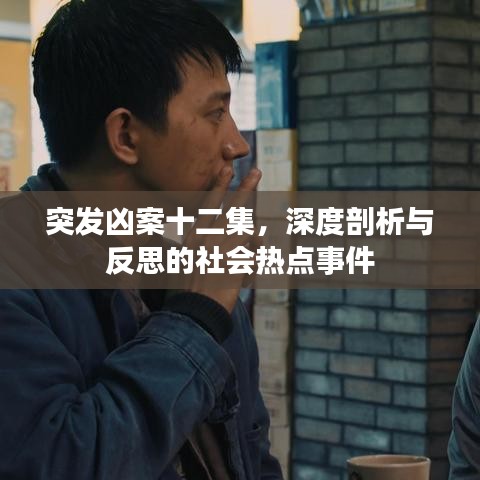 突發(fā)兇案十二集，深度剖析與反思的社會熱點事件