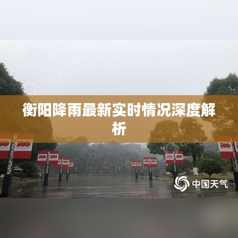 衡陽降雨最新實時情況深度解析