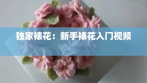 獨家裱花：新手裱花入門視頻 