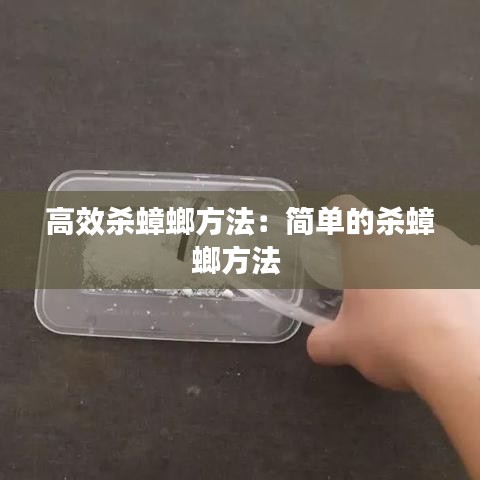 高效殺蟑螂方法：簡單的殺蟑螂方法 