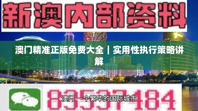 澳門精準(zhǔn)正版免費大全｜實用性執(zhí)行策略講解