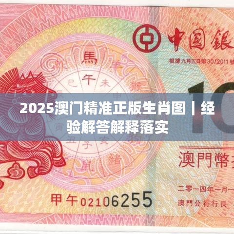 2025澳門精準(zhǔn)正版生肖圖｜經(jīng)驗(yàn)解答解釋落實(shí)