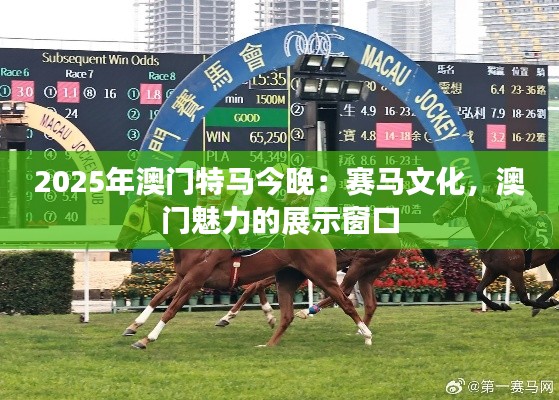 2025年澳門特馬今晚：賽馬文化，澳門魅力的展示窗口