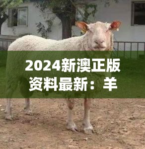 2024新澳正版資料最新：羊、牛、狗、蛇，免費(fèi)資料