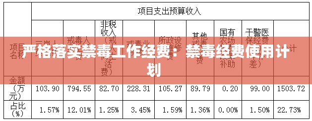 嚴格落實禁毒工作經費：禁毒經費使用計劃 