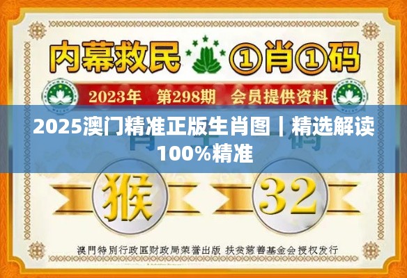 2025澳門精準(zhǔn)正版生肖圖｜精選解讀100%精準(zhǔn)