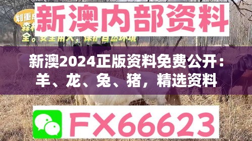 新澳2024正版資料免費(fèi)公開(kāi)：羊、龍、兔、豬，精選資料