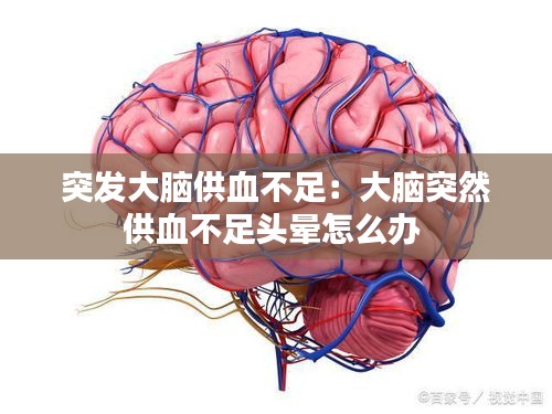 突發(fā)大腦供血不足：大腦突然供血不足頭暈怎么辦 