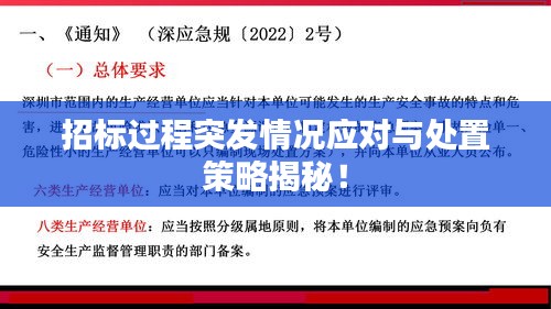 招標過程突發(fā)情況應對與處置策略揭秘！