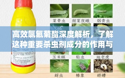 高效氯氟菊酯深度解析，了解這種重要殺蟲劑成分的作用與特性