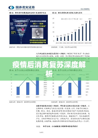 疫情后消費復蘇深度解析