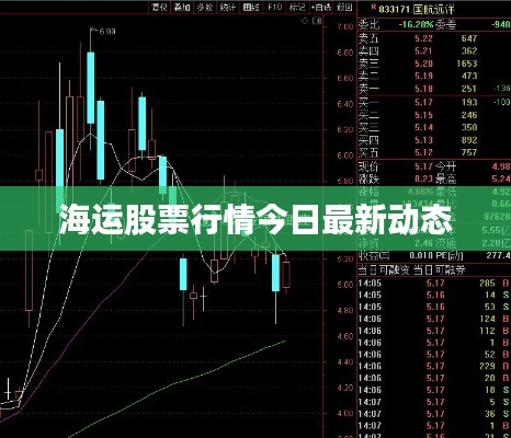 海運(yùn)股票行情今日最新動(dòng)態(tài)