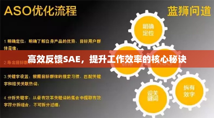 高效反饋SAE，提升工作效率的核心秘訣