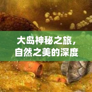 大島神秘之旅，自然之美的深度探索攻略視頻