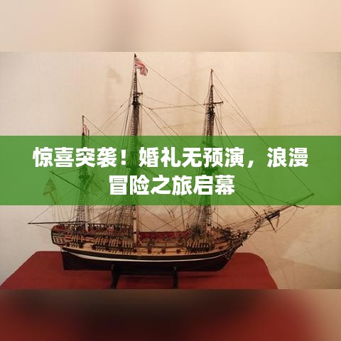 驚喜突襲！婚禮無預演，浪漫冒險之旅啟幕