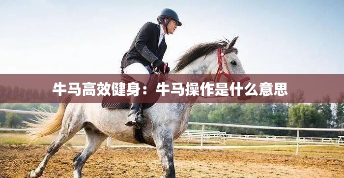 牛馬高效健身：牛馬操作是什么意思 