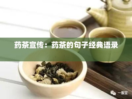 藥茶宣傳：藥茶的句子經典語錄 