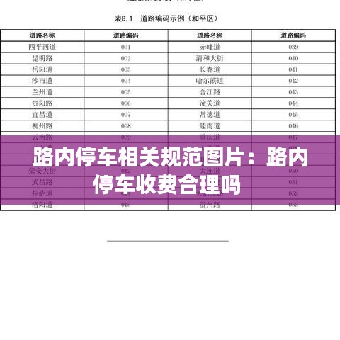 路內停車相關規(guī)范圖片：路內停車收費合理嗎 