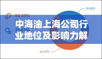 中海油上海公司行業(yè)地位及影響力解析