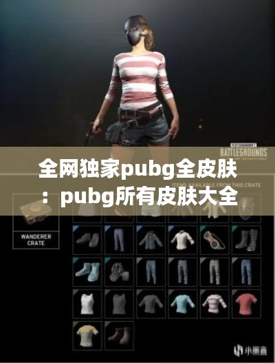 全網(wǎng)獨家pubg全皮膚：pubg所有皮膚大全 