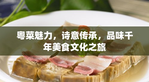 粵菜魅力，詩意傳承，品味千年美食文化之旅