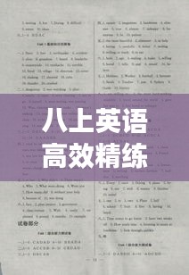 八上英語高效精練答案：高效精練八年級(jí)上冊(cè)英語 