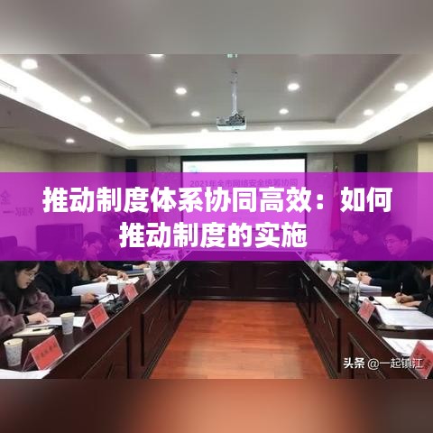 推動制度體系協(xié)同高效：如何推動制度的實(shí)施 