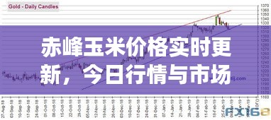 赤峰玉米價格實時更新，今日行情與市場走勢分析