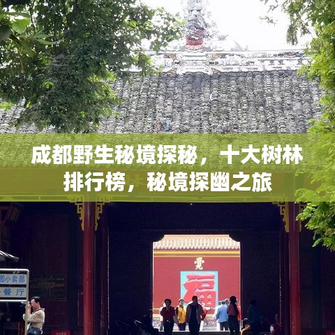 成都野生秘境探秘，十大樹林排行榜，秘境探幽之旅