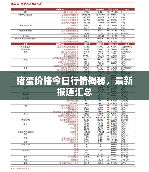 豬蛋價(jià)格今日行情揭秘，最新報(bào)道匯總