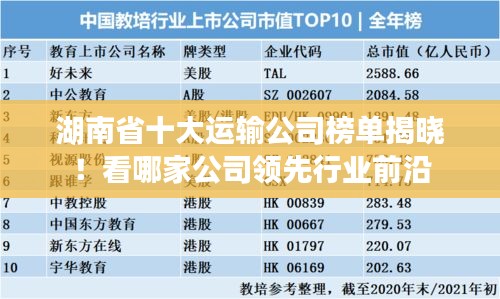 湖南省十大運(yùn)輸公司榜單揭曉！看哪家公司領(lǐng)先行業(yè)前沿