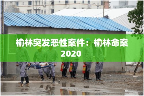 榆林突發(fā)惡性案件：榆林命案2020 