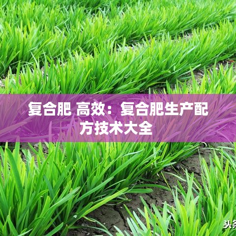 復(fù)合肥 高效：復(fù)合肥生產(chǎn)配方技術(shù)大全 