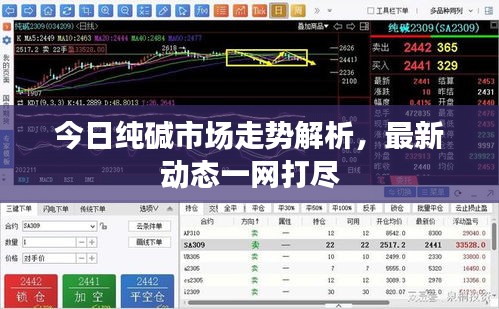 今日純堿市場(chǎng)走勢(shì)解析，最新動(dòng)態(tài)一網(wǎng)打盡