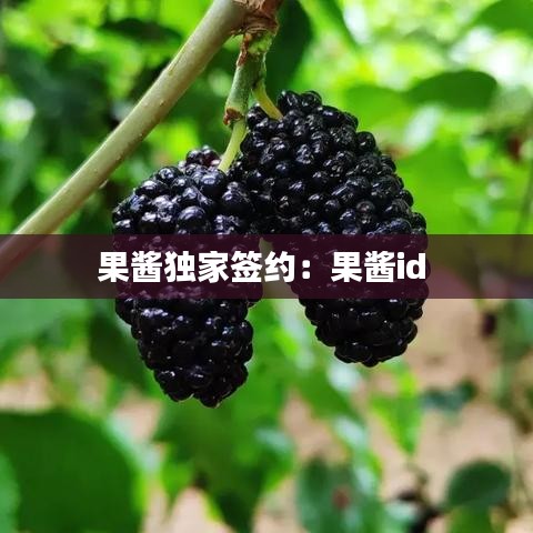 果醬獨家簽約：果醬id 